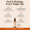 OLVA - Curcumin Drops For Natural Energy Support