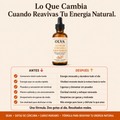 OLVA - Gotas De Curcumina Para Apoyar Tu Energia Natural