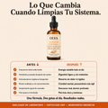 Gotas de curcumina + Cardo Mariano para Apoyar tu Hígado