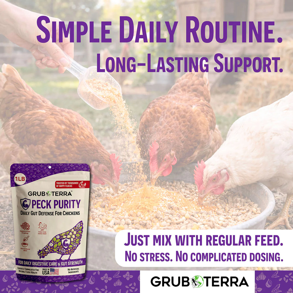 Simple daily routine — pouring GrubTerra Peck Purity into chicken feed
