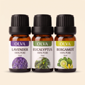 GlowGuard Scented Oil Variety 3-Pack