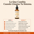 OLVA Gotas de Curcuma 5